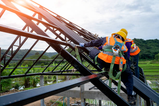 Best Roof Gutter Cleaning  in Crenshaw, MS